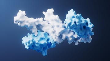 NODES: Network of Optimal Dynamic Energy Signatures