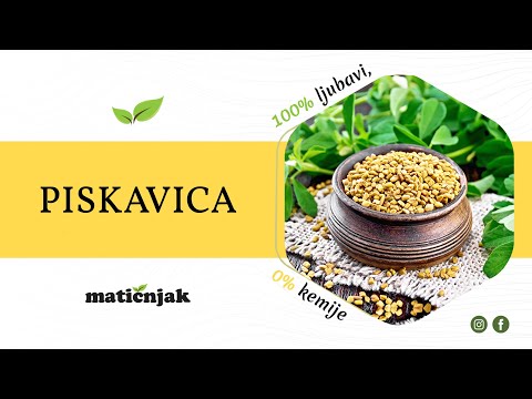 Video: Je li piskavica začin?