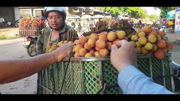 Giá Vải U Hồng Chín Nhiều - Xe Mua Bo Đông l Luc Ngan Lychee l Núi Đồi Lục Ngạn