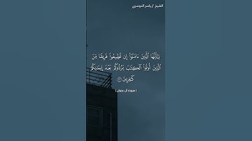 سورة آل عمران ( ١٠٠ - ١٠١) / ياسر الدوسري