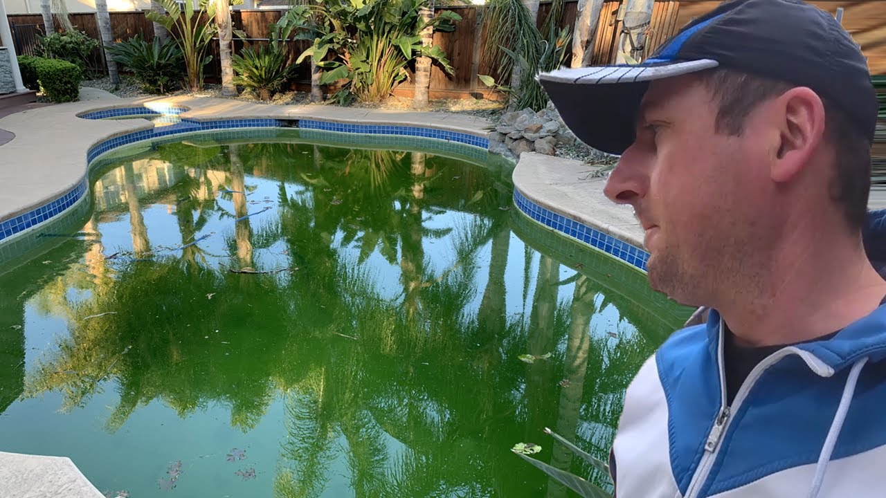 Бассейн-БОЛОТО в США. Уже 4 дня не могу отмыть!