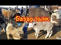 Караван мал базары . 06.03.2021. Кучту базар болду