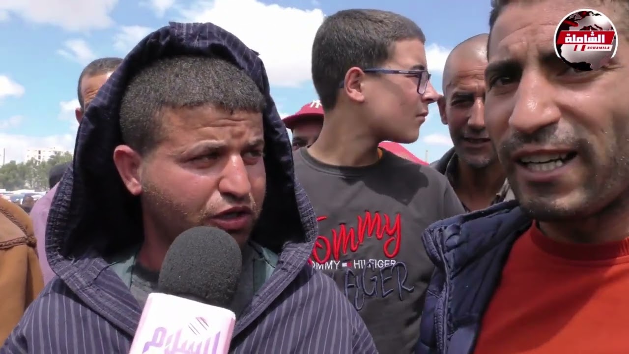 سطيف: شاهد 😱😱 هذه هي أسعار اضاحي العيد بأشهر سوق أسبوعي للمواشي بمدينة عين ولمان.