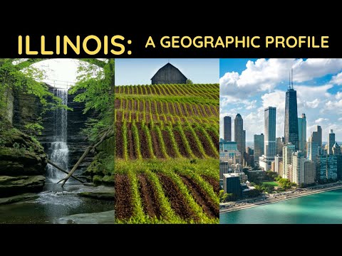 Jaki region geograficzny obejmuje stan Illinois?