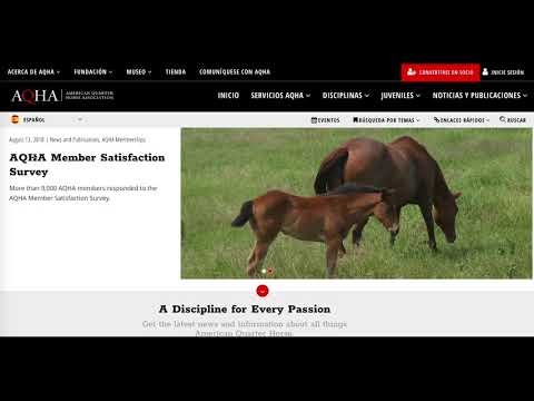 Aqha Free Pedigree Search