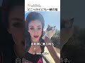 どこへ行くにも一緒の猫