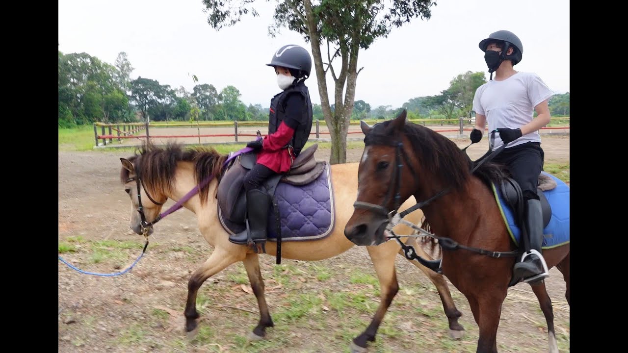Hidup Sehat Dengan Berkuda | The cutest little toddler horse rider and her pony