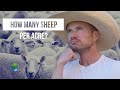 How Many Sheep Can I Have Per Acre?