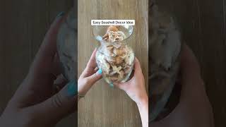DIY Seashell decor idea using Tumbler Home’s tan seashell mix! #seashells #diy #beachdecor DIY Seashell decor idea using Tumbler Home’s tan seashell mix! #seashells #diy #beachdecor