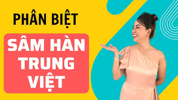 Phân Biệt Các Loại Nhân Sâm Hàn Trung Việt - Thi Đặng - ANaNa Nhân Sâm Korea