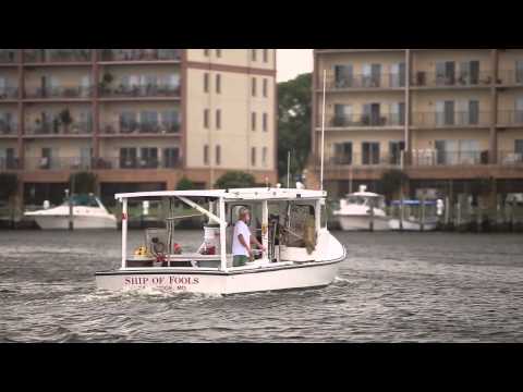 Video: Hyatt Regency Chesapeake Bay Resort u Cambridgeu, Maryland