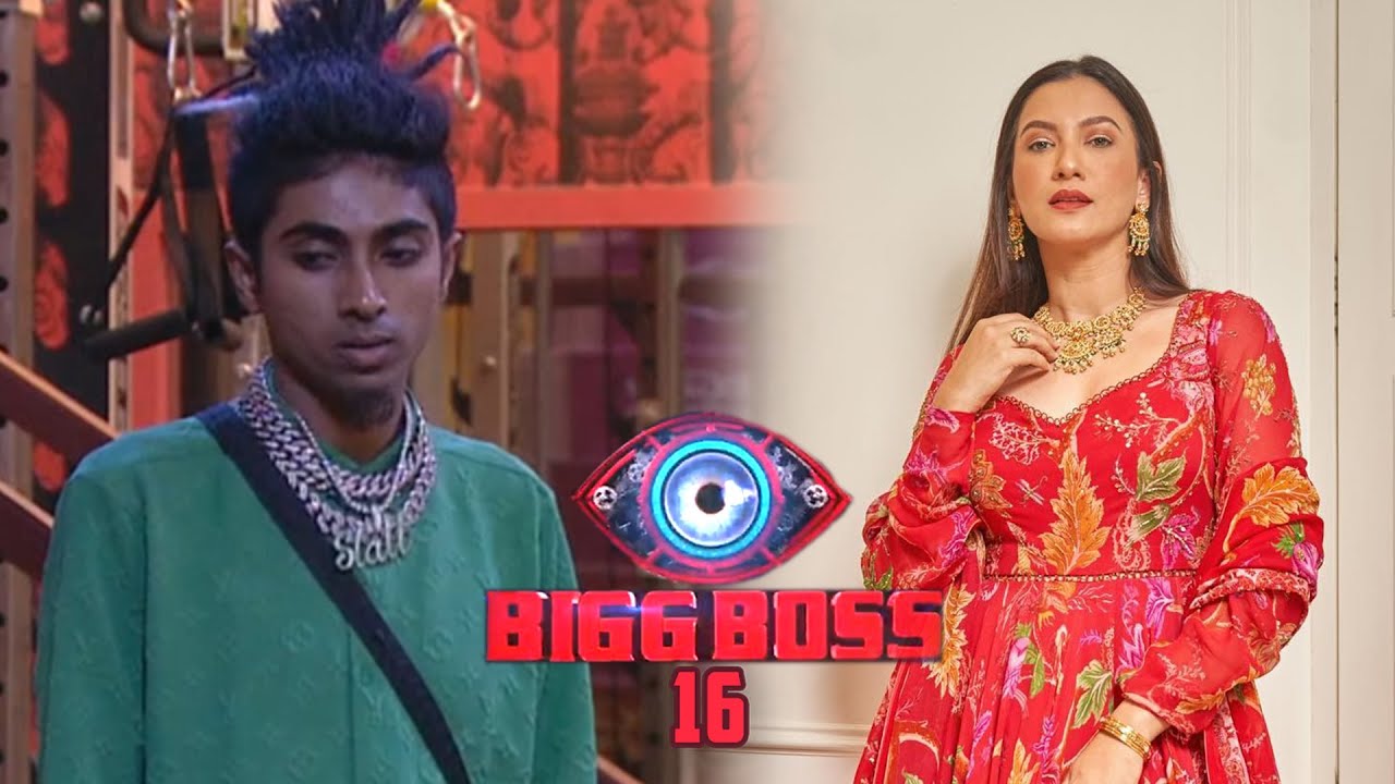 Gauahar Khan SLAMS Bigg Boss 16's MC Stan for 'Mai ladki se baat