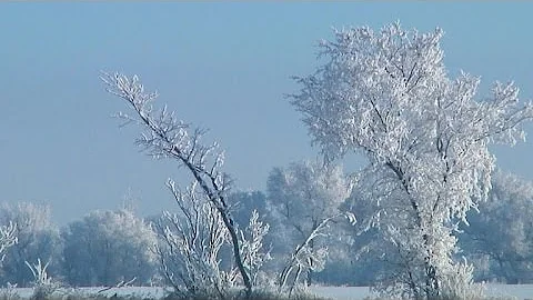 Nature: North Dakota winter