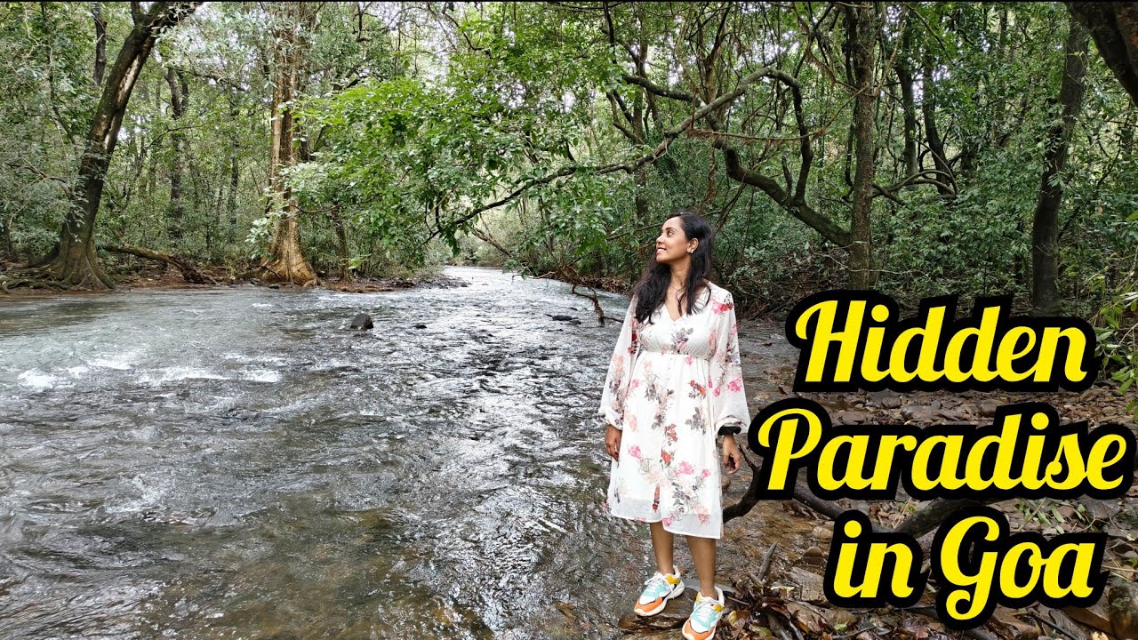Day 2। South Goa Offbeat Place। Netravali Wildlife Sanctuary।Salaulim Dam। Palolem Beach। Hindi Vlog