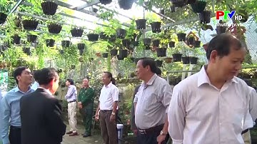 TAM NÔNG   THẨM ĐỊNH, XÉT CÔNG NHÂN KHU DÂN CƯ NÔNG THÔN MỚI KIỂU MẪU