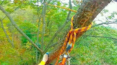 MUNTER RETRIEVABLE REDIRECT