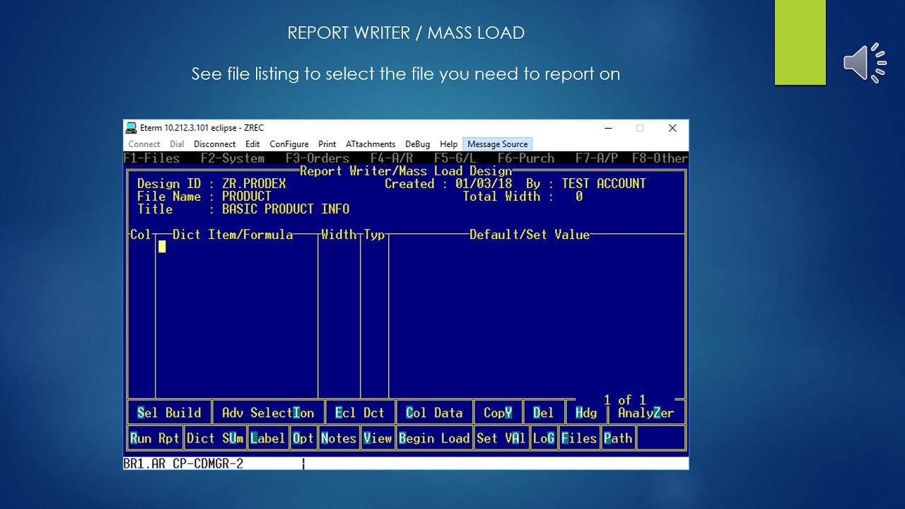 Epicor Eclipse ERP ETerm Report Writer / Mass Load Tool - YouTube
