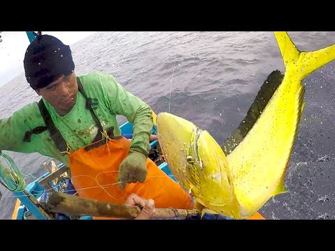 Video: Cómo Pescar En Primavera: El Secreto Del Pescador En