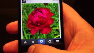 Софт для Android #39 Instagram(Это обзор приложения для Андроид представляющий из себя социальную сеть которая обсуждает фото или видео..., 2013-06-21T10:58:20.000Z)