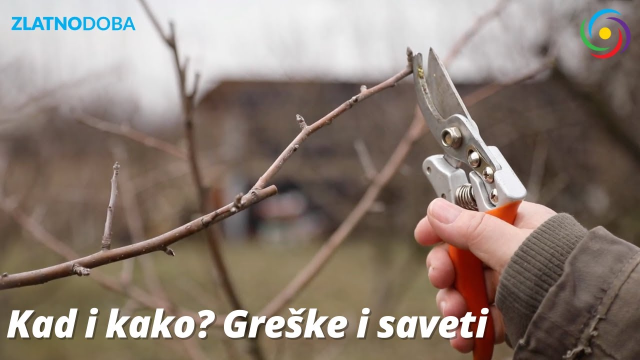 Zimsko orezivanje jabuke - Josip Malnar - 2024