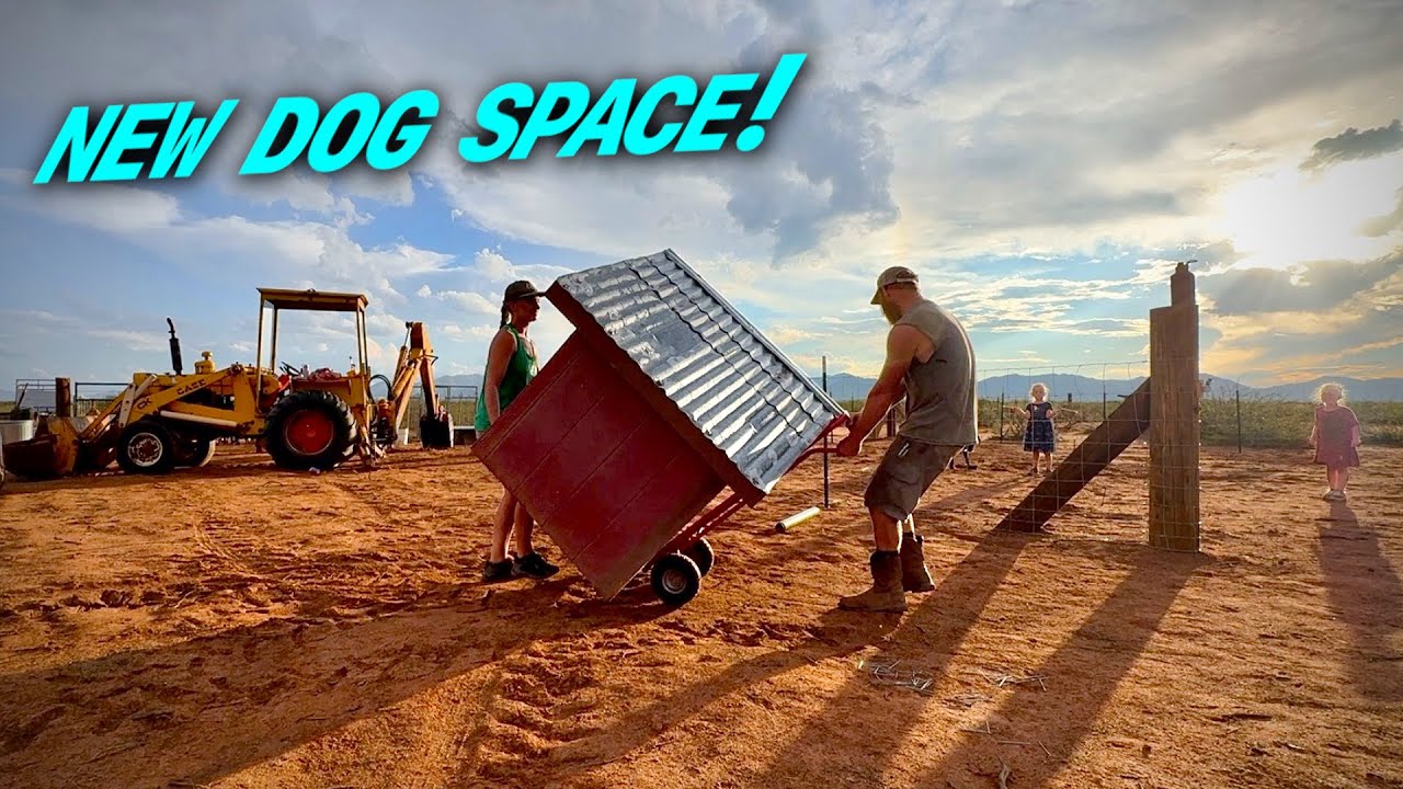 Fencing Finished For The Dogs And Chickens | Building Our OffGrid