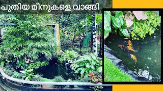 പുതിയ മീനുകളെ വാങ്ങി l New fishes in my pond I Nature Crafts