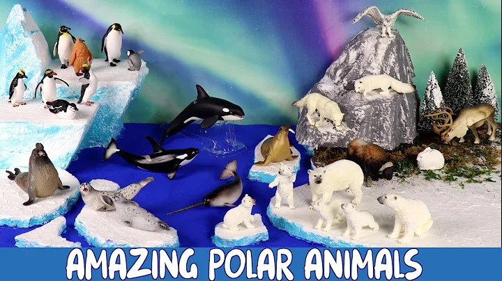 Meet the Amazing Polar Animals! | Build a Diorama of the Arctic & Antarctic thumbnail