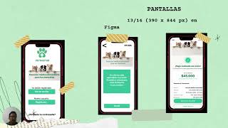 Socializar los elementos y componentes gráficos e interactivos