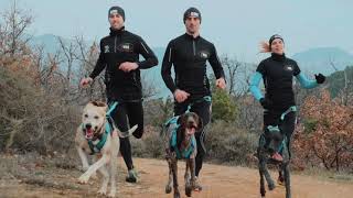 I-DOG | for active dog | brand presentation | canicross, bikejoring, hiking, competition, 