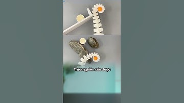 Cánh tay robot hình dạng xúc tu #shorts