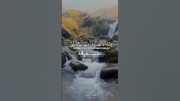 ثم قست قلوبكم من بعد ذلك | سورة البقرة