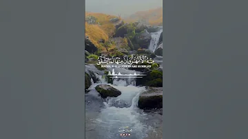 ثم قست قلوبكم من بعد ذلك سورة البقرة 