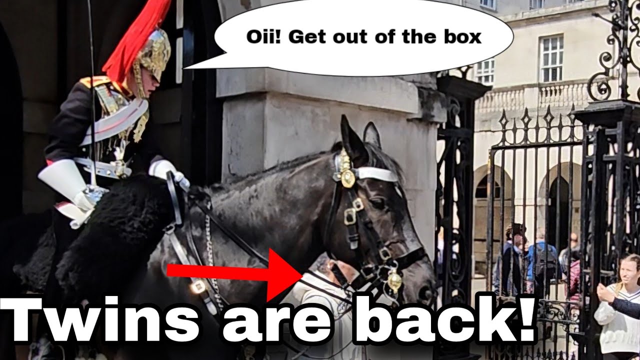 Lady Guard in ACTION! You messed with the wrong guard - BRAVO👏