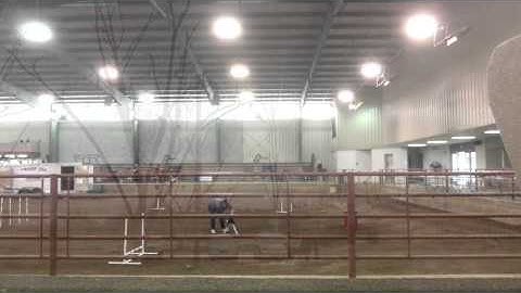 Chaos Lolabuland Foundations Intro