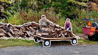 NOW we GET to SEE if it all FITS - 2 Years Worth of Firewood to STACK in the new SHED