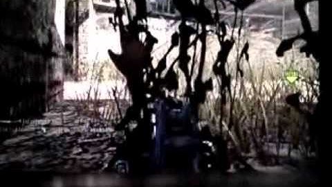 Mw2 Nuke on Favela whit Ump45