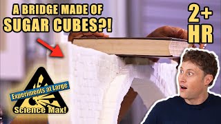 CRAZY EXPERIMENTS | Building a Sugar Cube Bridge | Full Episodes | Science Max