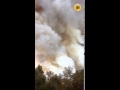 Jonathan Kieran, who lives near the Tassajara fire, shot this video before saving his cat, Aunt Bea,