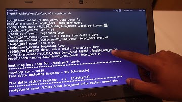 Linaro: User space perf counters, ARMv7 and ARMv8