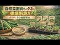 自然菜園育ちのタネを徹底解説!! ウリ科、その他野菜編