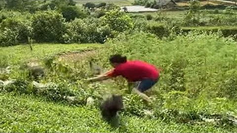 Wat is er een jaar voorbijgegaan. Een maaltijd om gasten van ver te verwelkomen, 26 juni 2025