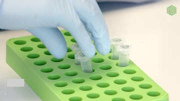Sample preparation: Metabolite extraction (tutorial 3/5)