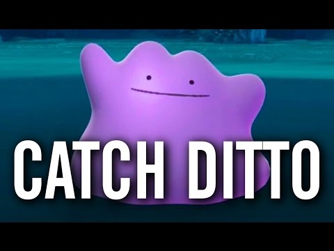 Pokemon Go How To Catch Ditto Youtube - catching ditto in roblox pokemon go pokemon trainer tips