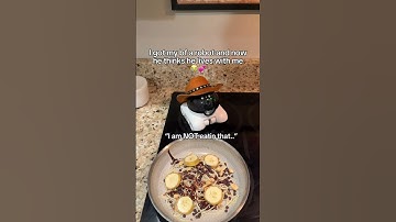 Why does he act like this? 😭💕 #longdistance #minirobot