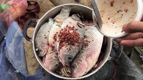 Khám Phá Điểm Câu Lăng Xê Sông Tự Nhiên, Nấu Ăn Tại Bãi Câu