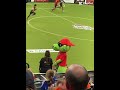 Funny #shorts