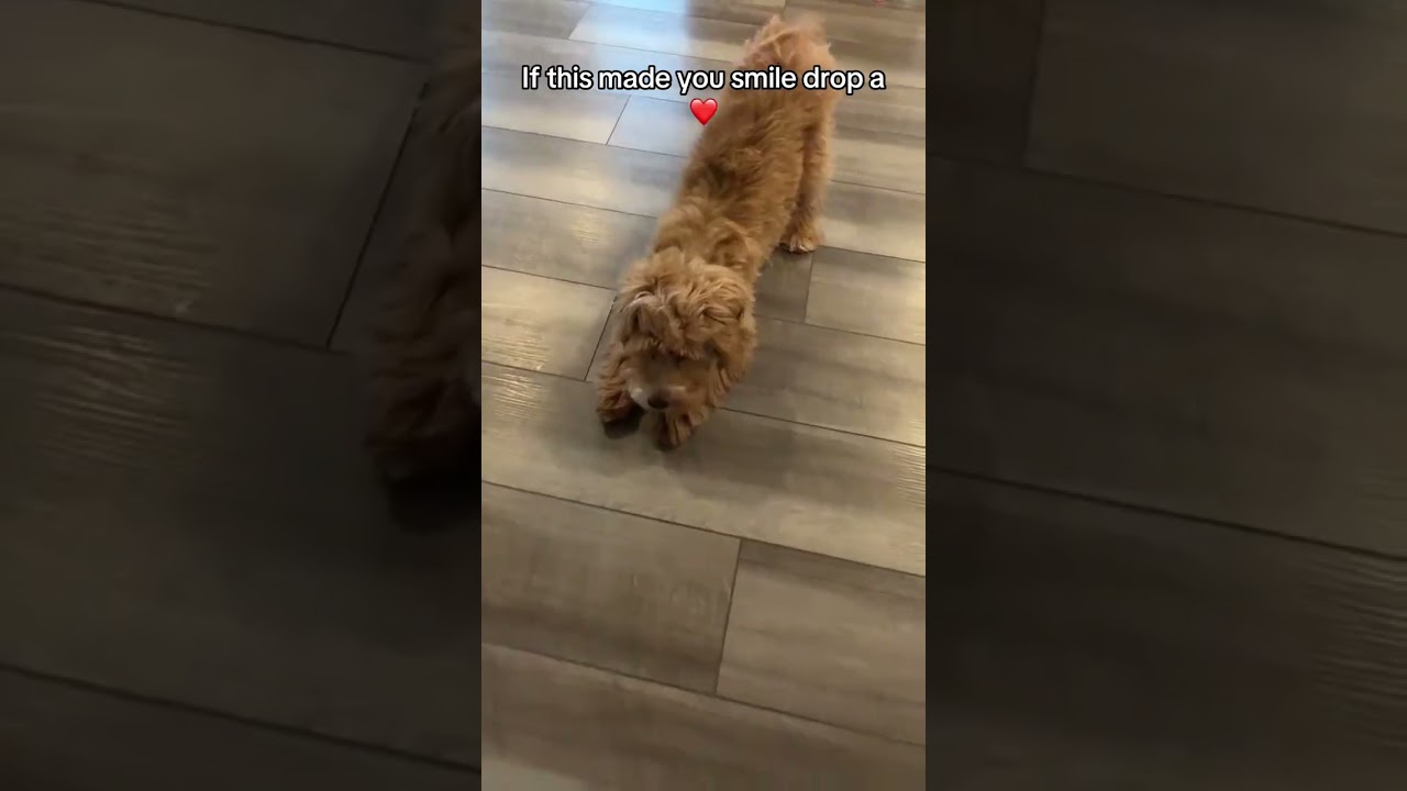 Вот вам повод улыбнуться! 