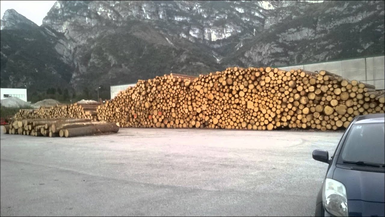 lavori boschivi de filippo valcellina