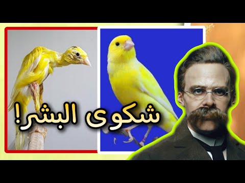 أسخف شيء على وجه الأرض اعظم اقوال وحكم المفكر والفيلسوف فريدريك نيتشه على ظهر كتاب