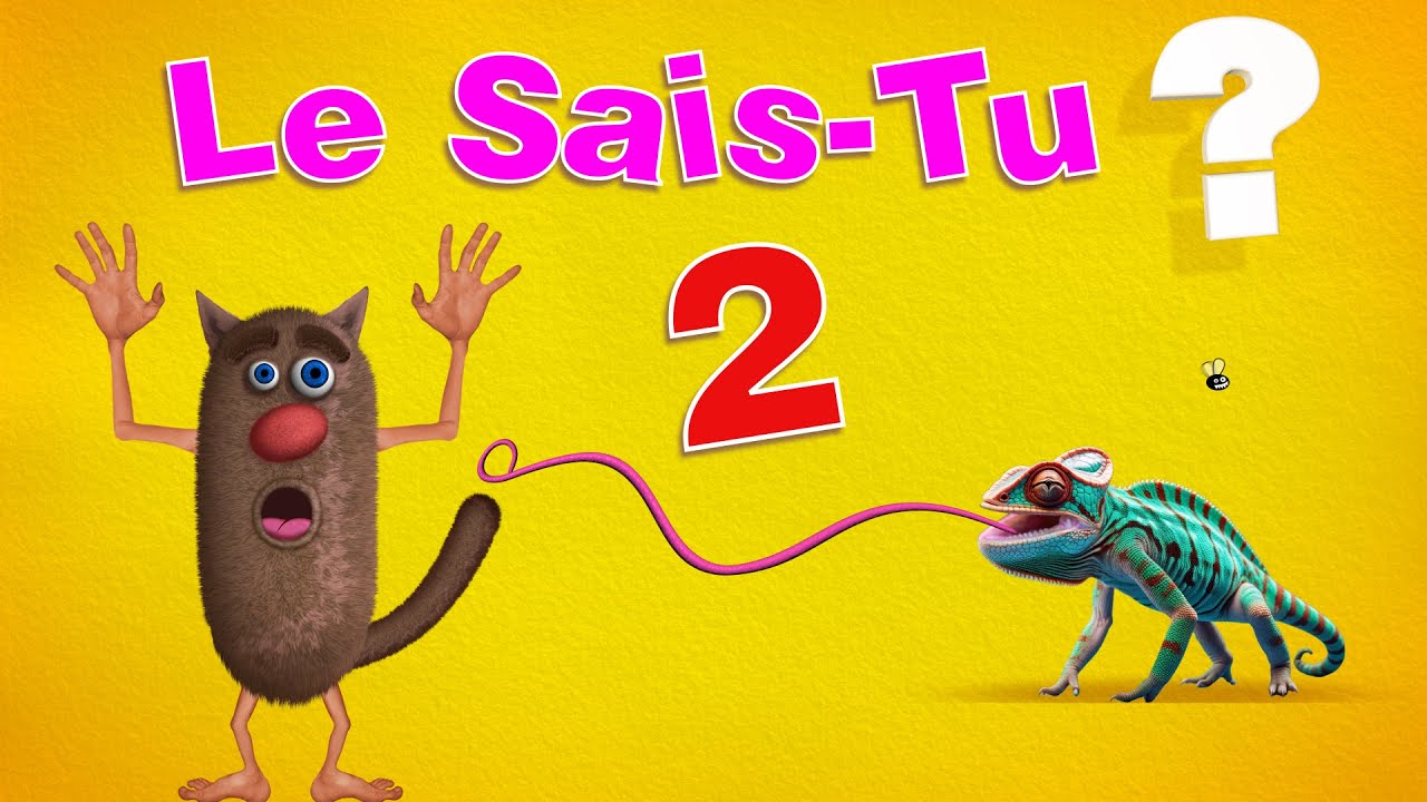 Foufou - Le Sais-Tu ?/Do you know ? (Serie 02) 4K